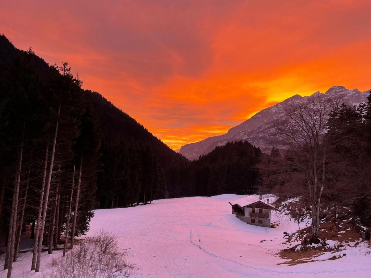 Вілла Chalet Relax Molveno E Andalo Dolomiti Екстер'єр фото