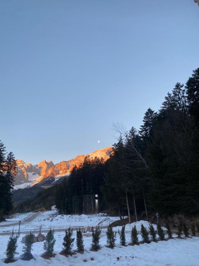 Вілла Chalet Relax Molveno E Andalo Dolomiti Екстер'єр фото