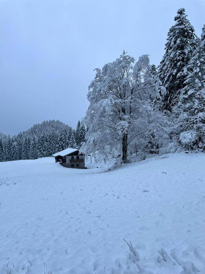 Вілла Chalet Relax Molveno E Andalo Dolomiti Екстер'єр фото