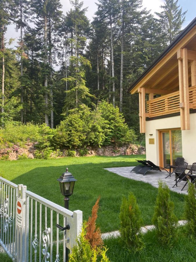 Вілла Chalet Relax Molveno E Andalo Dolomiti Екстер'єр фото