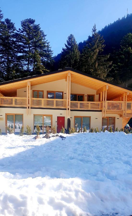Вілла Chalet Relax Molveno E Andalo Dolomiti Екстер'єр фото