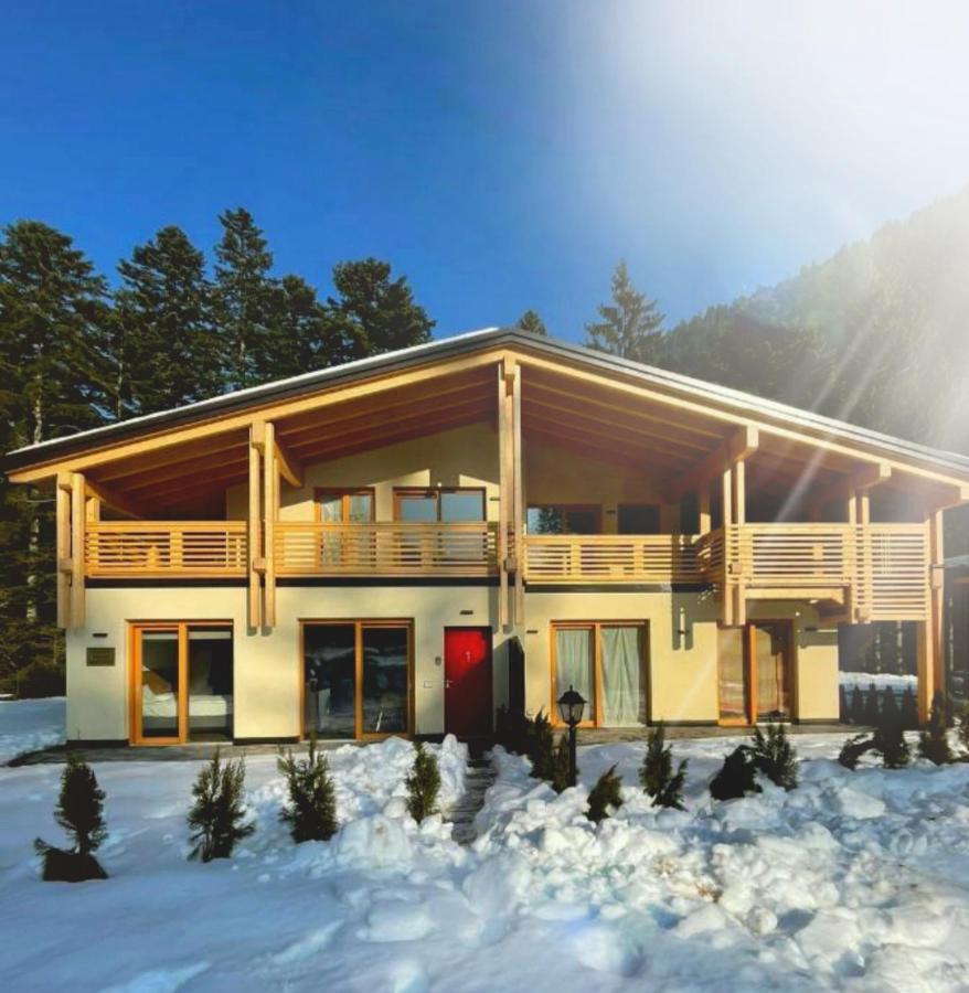 Вілла Chalet Relax Molveno E Andalo Dolomiti Екстер'єр фото