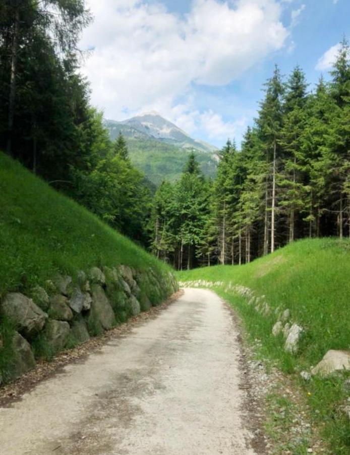 Вілла Chalet Relax Molveno E Andalo Dolomiti Екстер'єр фото