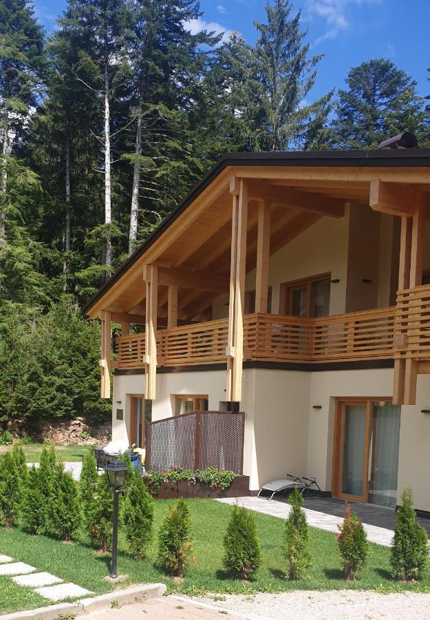 Вілла Chalet Relax Molveno E Andalo Dolomiti Екстер'єр фото