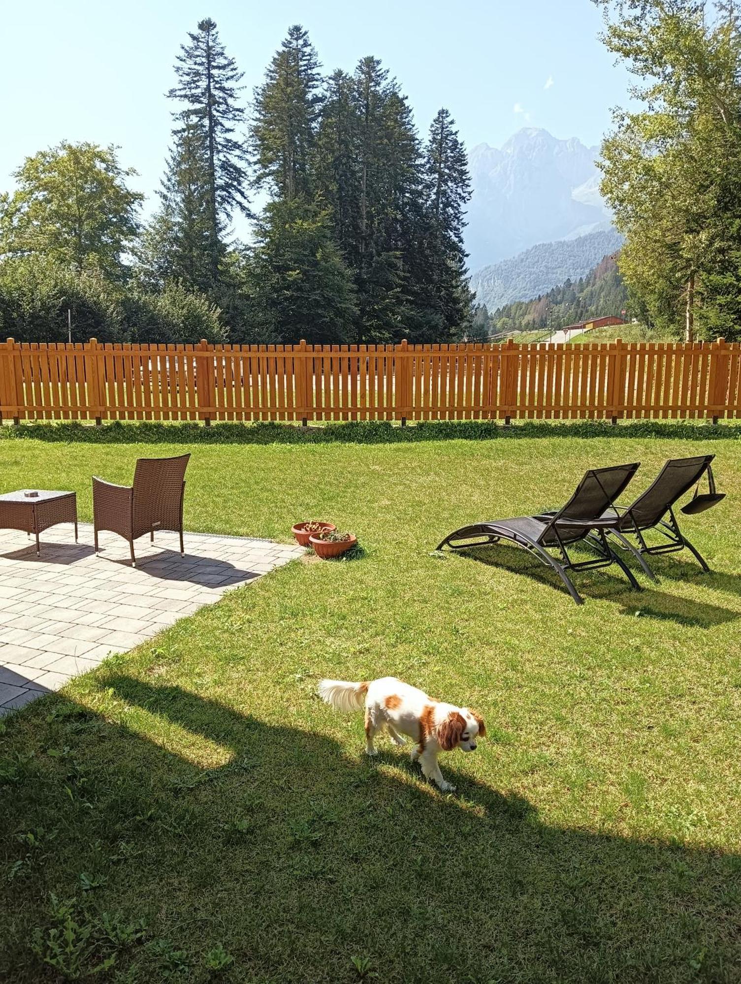 Вілла Chalet Relax Molveno E Andalo Dolomiti Екстер'єр фото