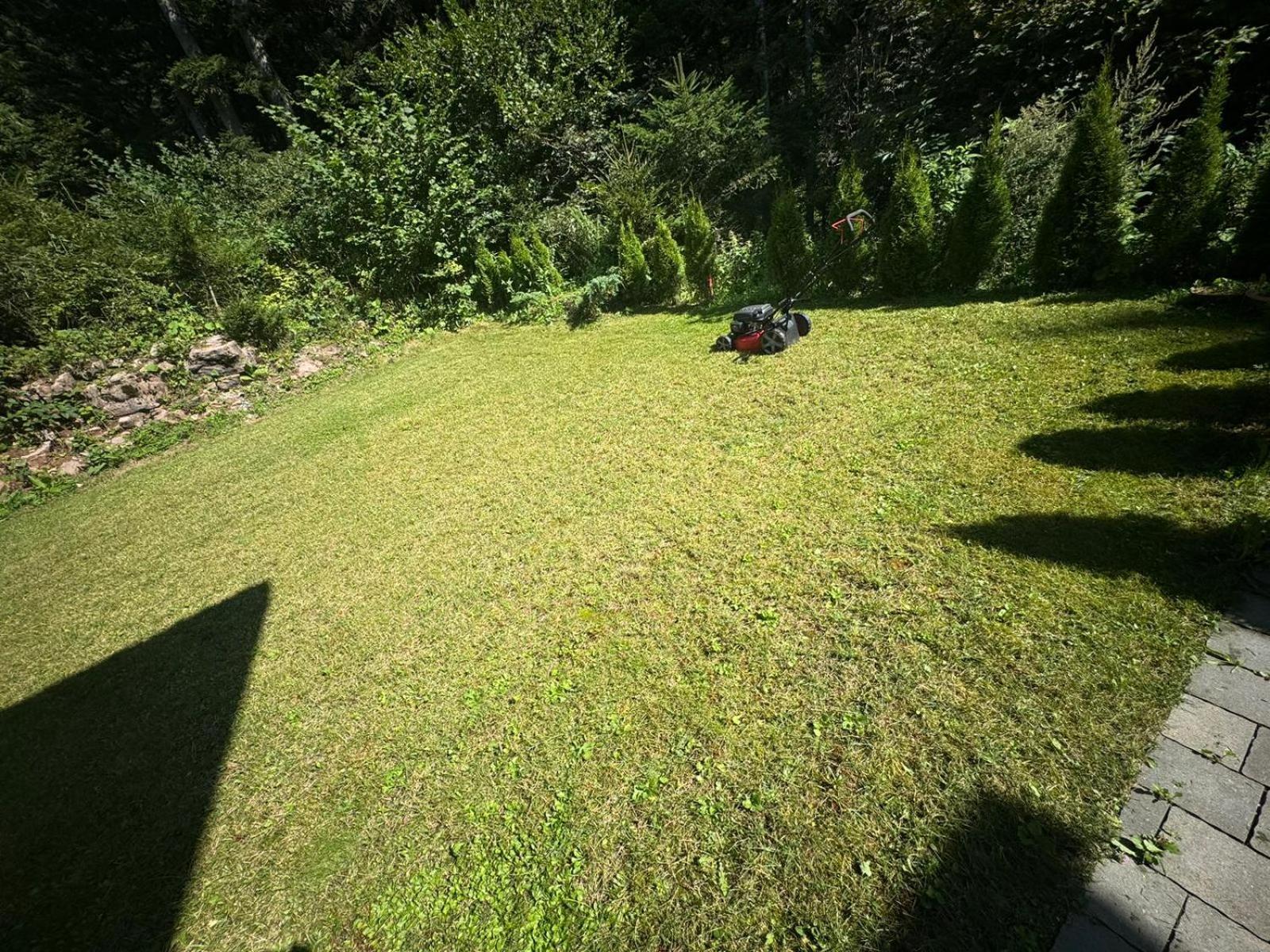 Вілла Chalet Relax Molveno E Andalo Dolomiti Екстер'єр фото
